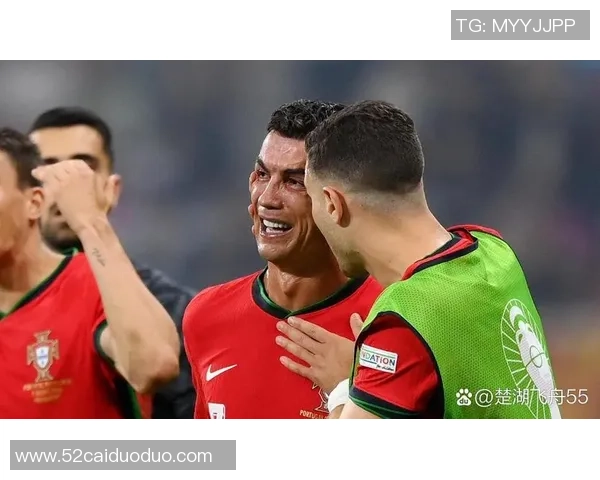 世界杯预选赛精彩对决葡萄牙迎战强敌法国球队的巅峰之战